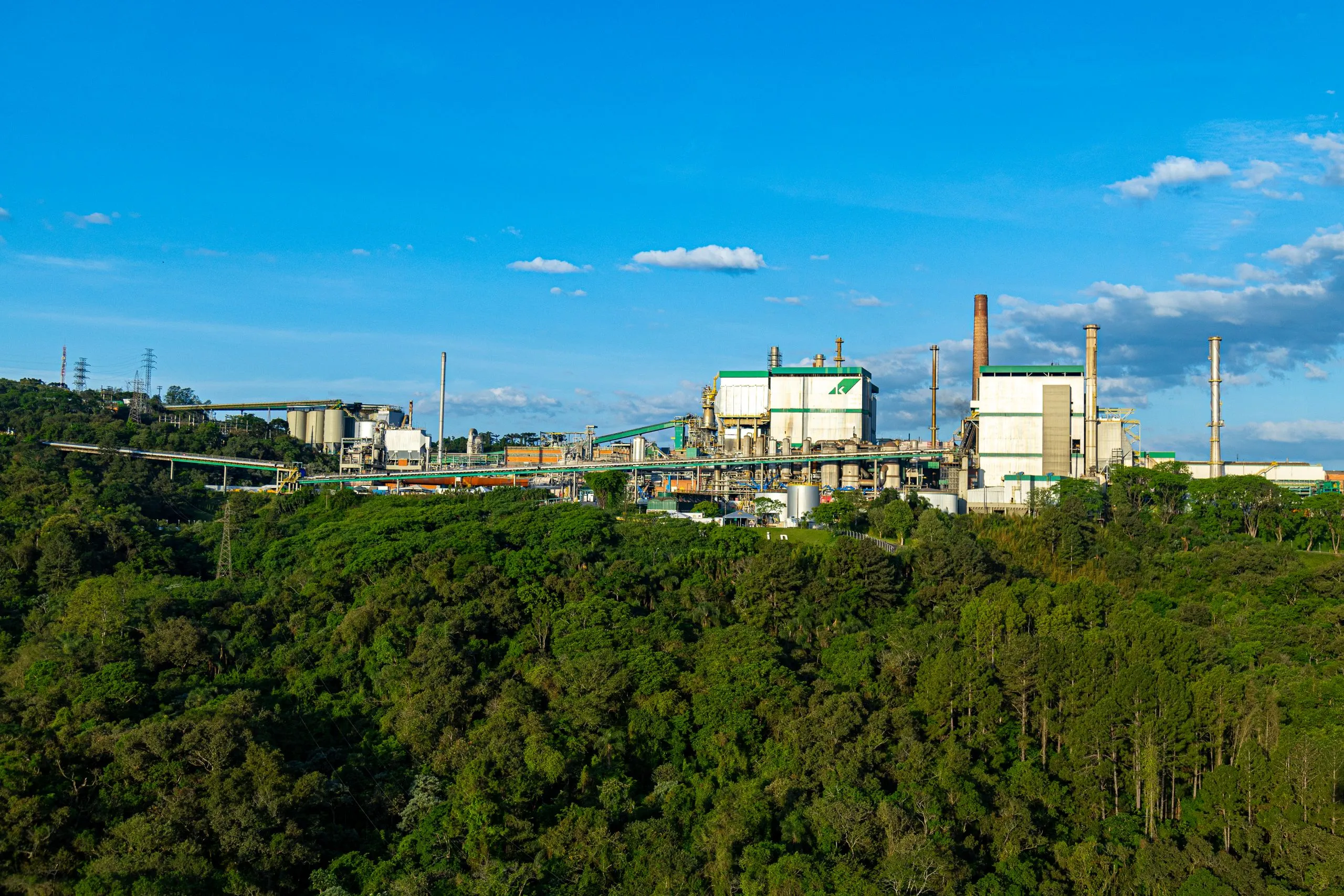 Pulp mill rising out of forest under a blue sky